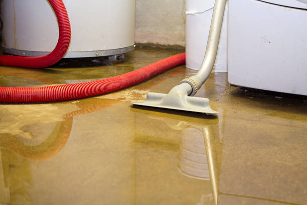 Water damage restoration mold remediation in LA