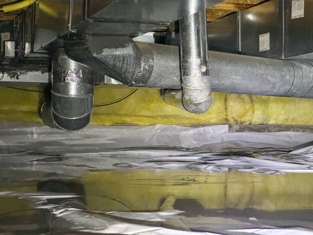 Best Ceiling water damage repair  in Basile, LA