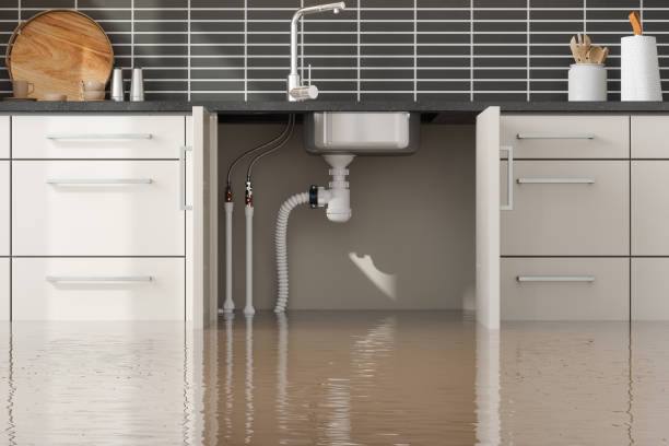 Best 24-hour water damage restoration  in Basile, LA