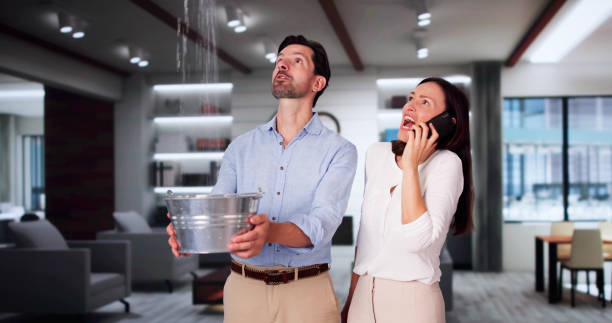 Best Basement water damage restoration  in Basile, LA